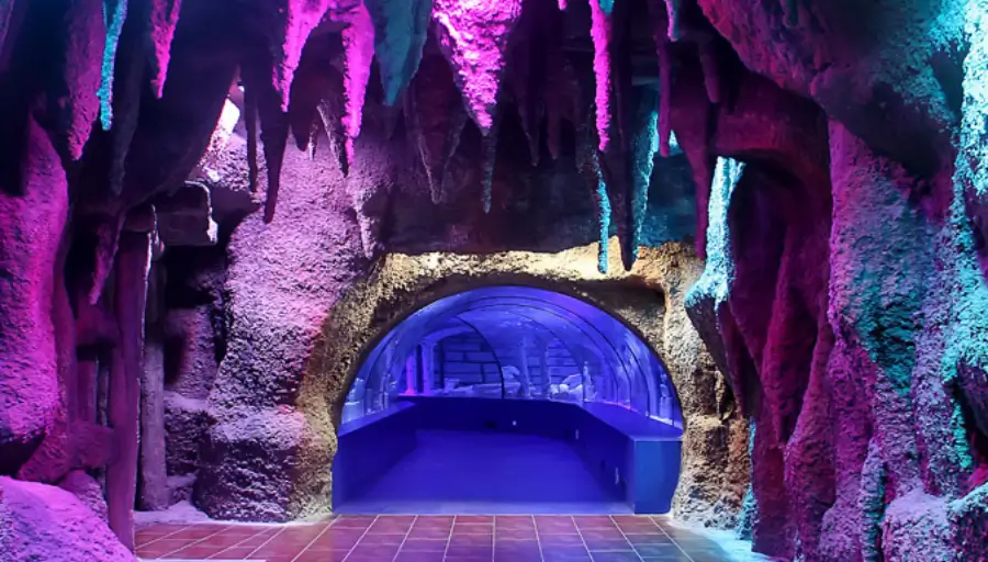Antalya Aquarium & Muzeum Face2Face photo 4